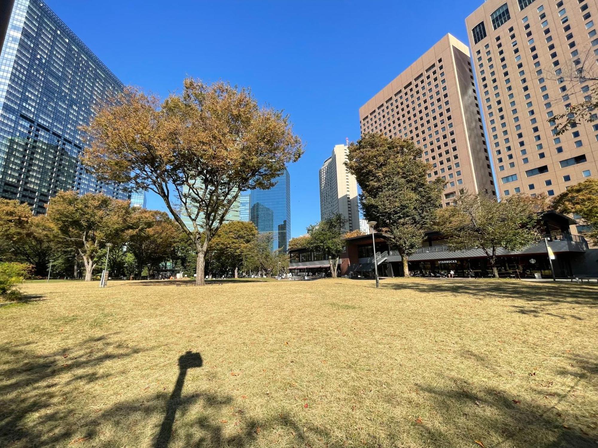 Max4People Shinjuku 7Minutes Shibuya12 Minutes 5Minutes Walk From Hatsudai Station Leon Resort Shibuya Tokyo Exterior photo